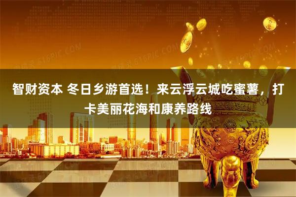 智财资本 冬日乡游首选！来云浮云城吃蜜薯，打卡美丽花海和康养路线