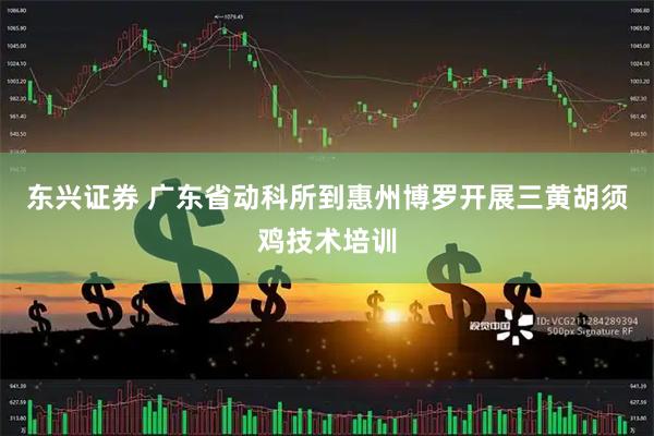 东兴证券 广东省动科所到惠州博罗开展三黄胡须鸡技术培训