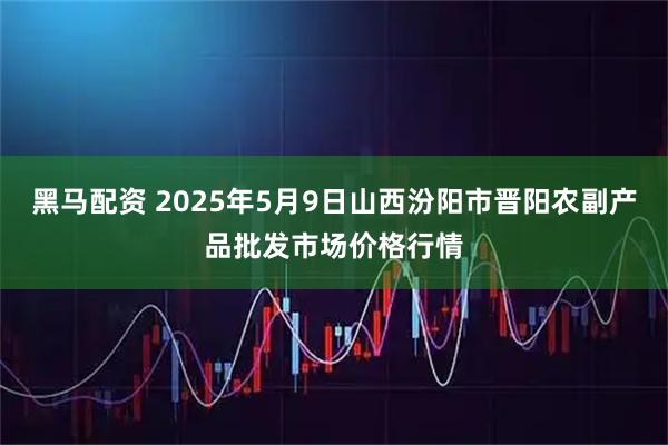 黑马配资 2025年5月9日山西汾阳市晋阳农副产品批发市场价格行情